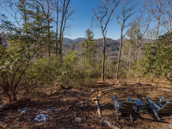 50 Wintergreen Dr, Canton, NC 28716
