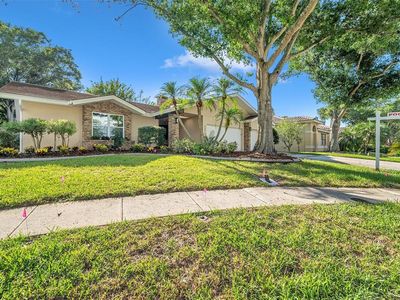 2378 Anthony Ave, Clearwater, FL, 33759