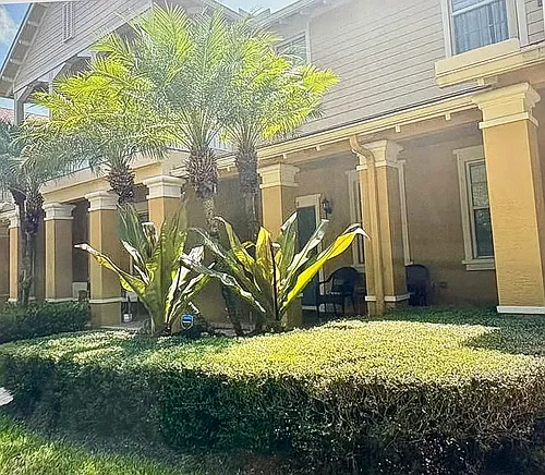 188 W Thatch Palm Cir Photo 1