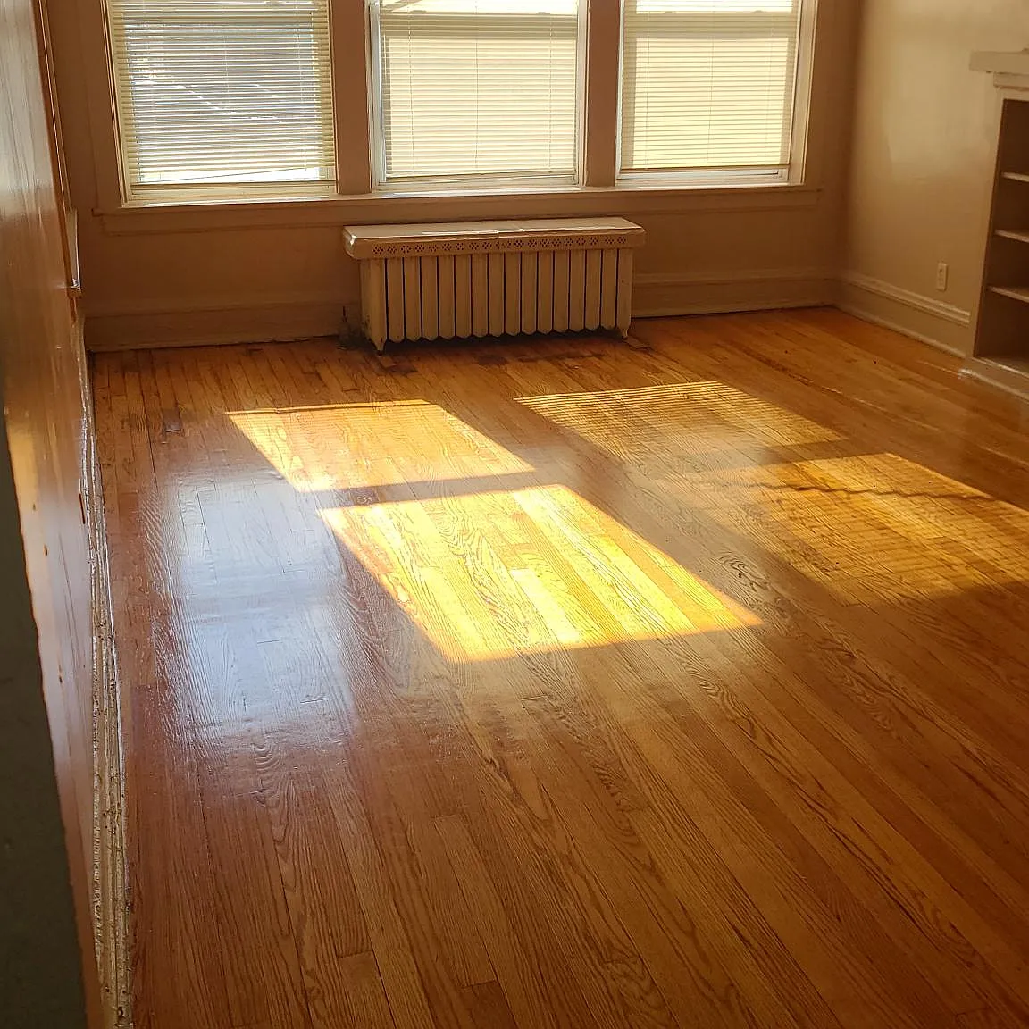 1 bed, 1100 sqft, $1,100 — Photo 2