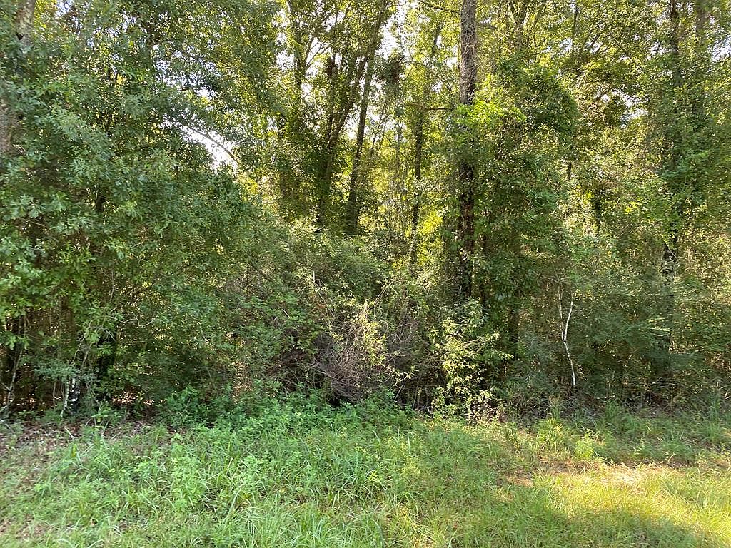 2542 Highway 43 S, Picayune, MS 39466 MLS 178546 Zillow