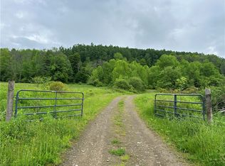 7739 Monihan Rd, Friendship, NY 14739