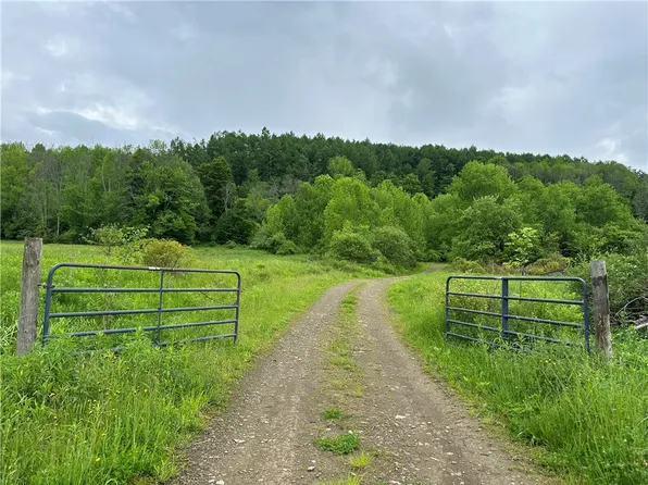 7739 Monihan Rd, Friendship, NY 14739