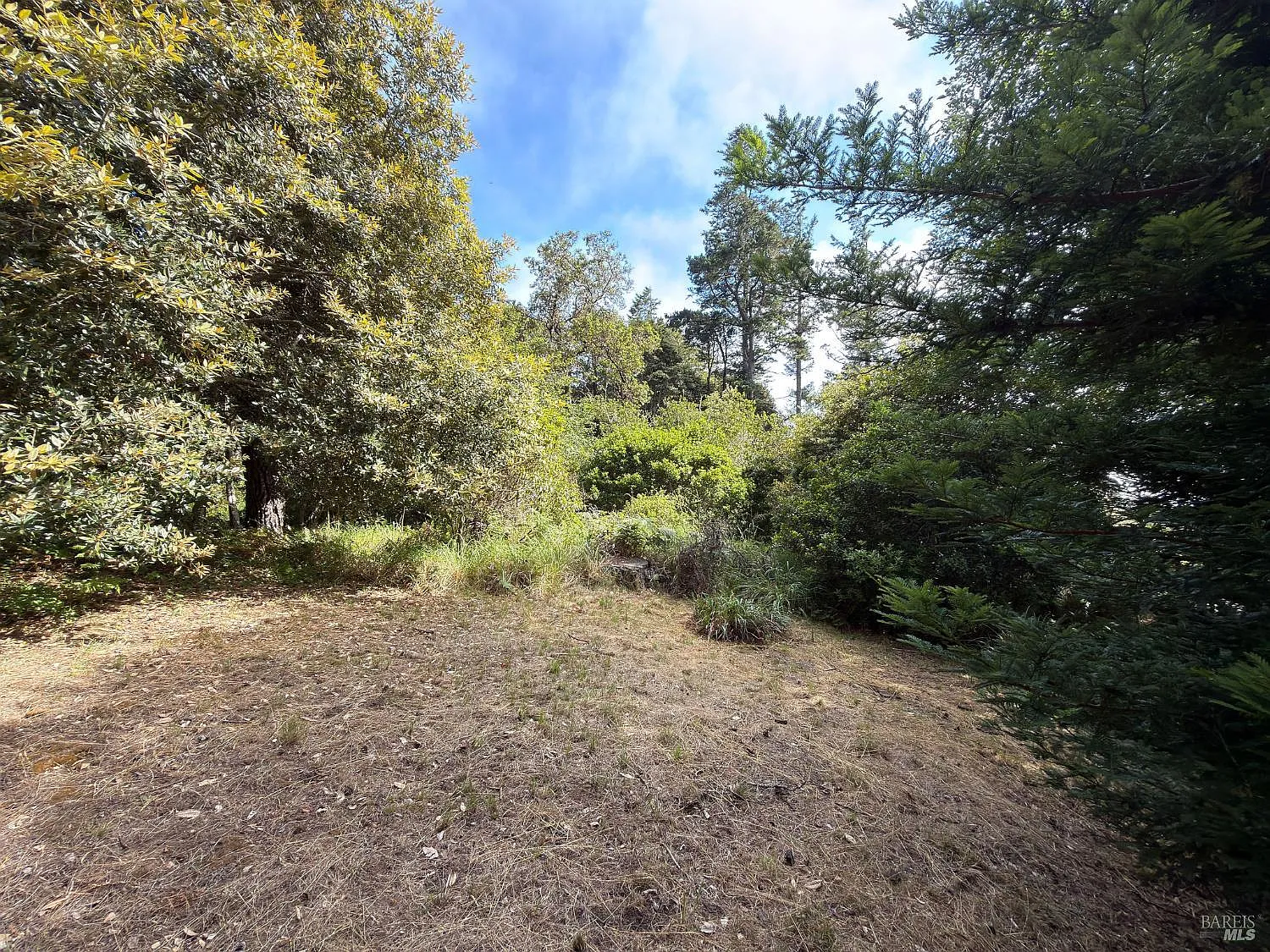 76 Compass Close - Photo 2