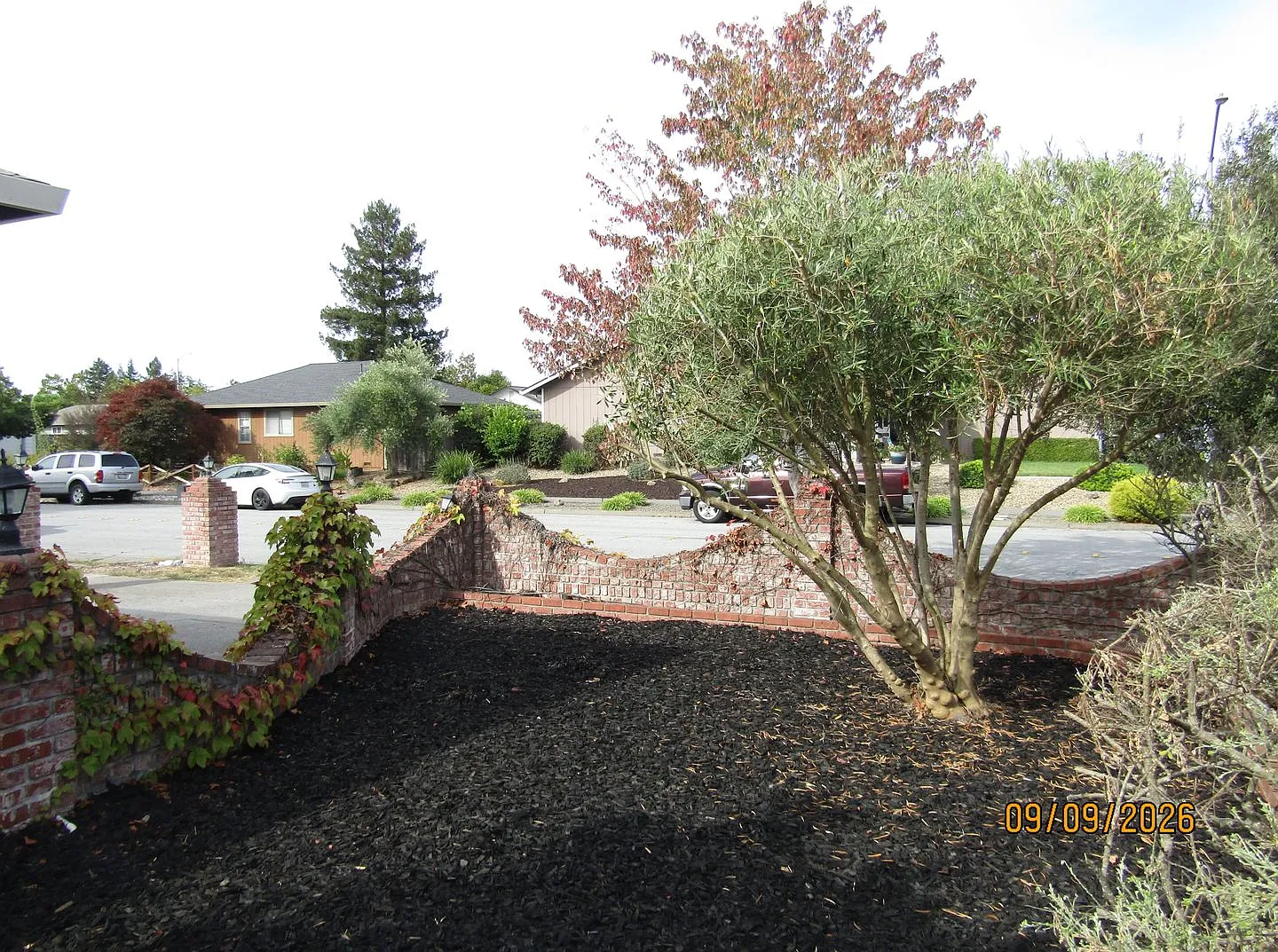 3 Bed 2 Bath Single Family Home with Solar in North West Santa Rosa! New flooring and Paint! — Photo 2