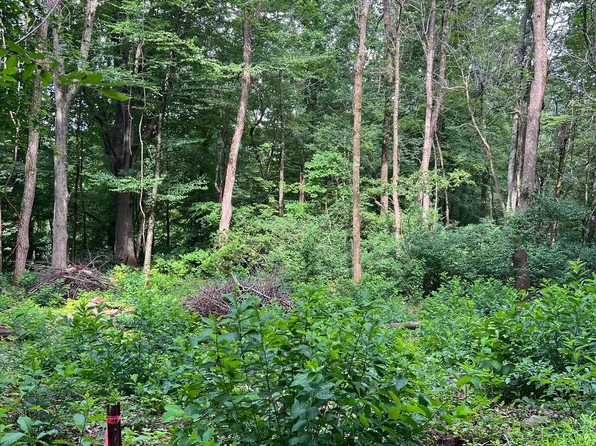 Off S Lake View Dr, Stanley, VA 22851