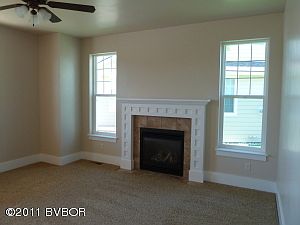 Gas fireplace