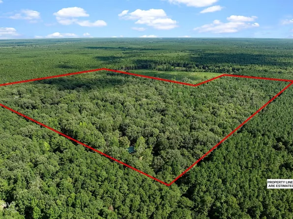 356 Cottage Grove Rd, Benton, LA 71006