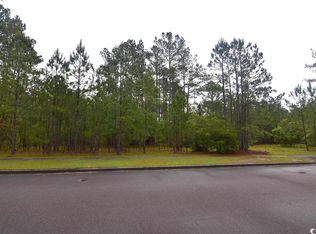 121 Pineberry Dr LOT 154, Georgetown, SC 29440