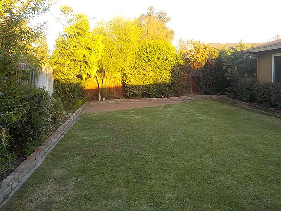 rear yard