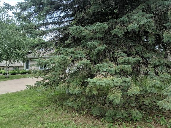 2nd image of 8856 89th Street Cir S