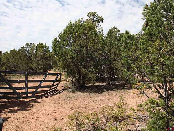 4th image of Tbd Government Springs Rd