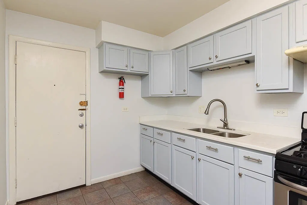 Praiseworthy 1 Bed, 1 Bath at Jarvis + Ashland (Rogers Park) — Photo 4