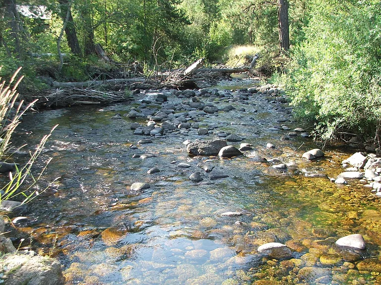 Trapper Creek in front of cabin.