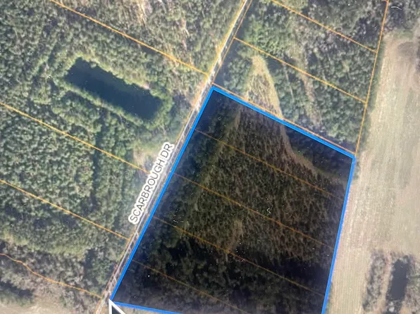 TBD Scarbrough Dr., Loris, SC 29569