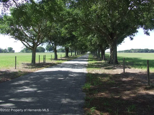 23183 Powell Rd, Brooksville, FL 34602