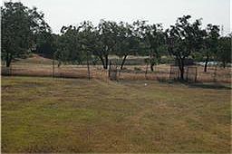 2nd image of 190 Orr Cir