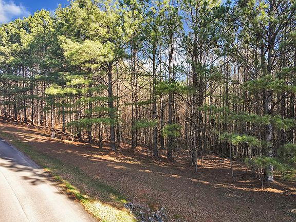 3rd image of 0 Fox Paw Leaf Ln