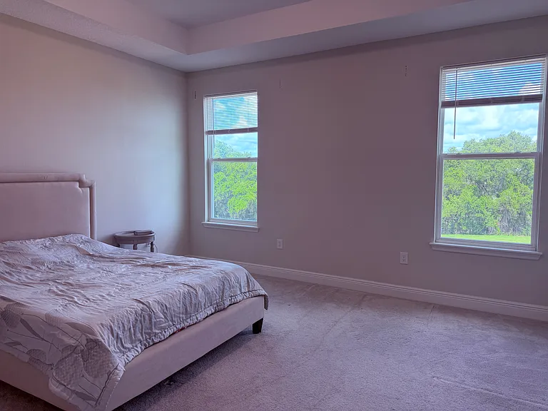 9936 Pallida Hickory Way — Photo 13