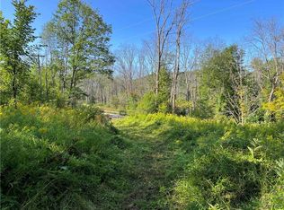 0 Nys Rte #16, Ischua, NY 14743