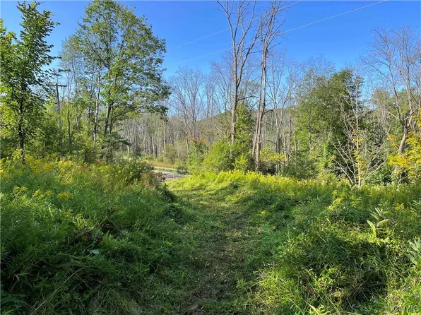 0 Nys Rte #16, Ischua, NY 14743