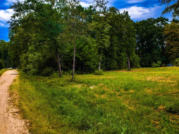 Forest Dr, Livingston, TX 77351