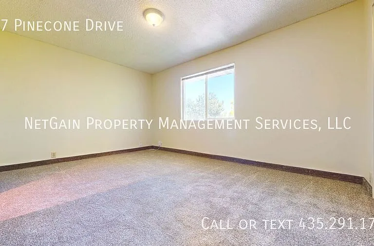 357 Pinecone Dr — Photo 11