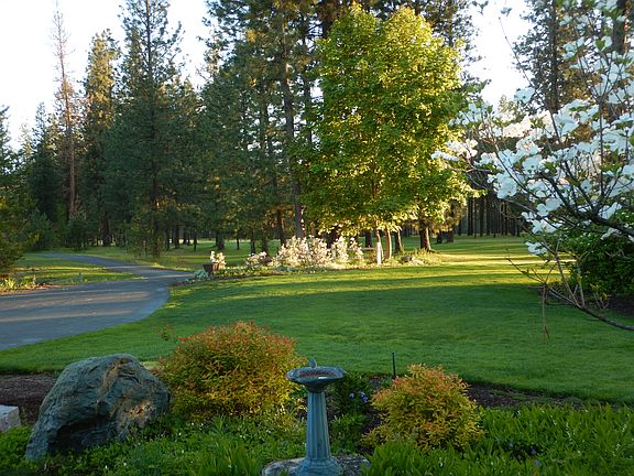3rd image of 271 A Eagle Dr