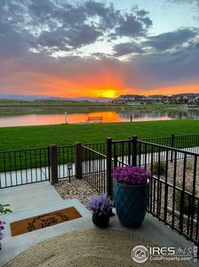 6240 Vernazza Way UNIT 2, Windsor, CO, 80550