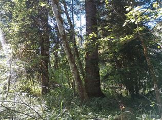 LOT 44 Heather Pl, Packwood, WA