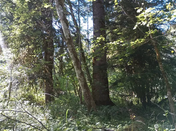 0 Lot 44 Heather Place, Packwood, WA 98361