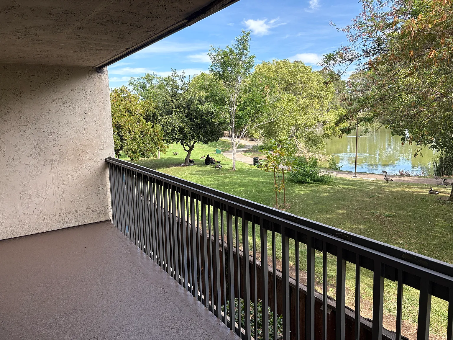 3 bed, 1216 sqft, $2,800 — Photo 4