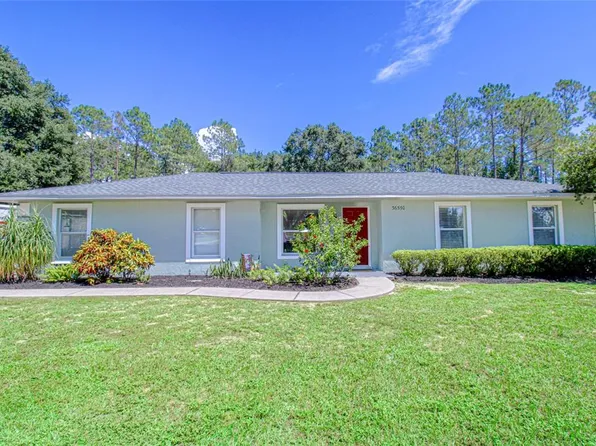 36550 Apiary Rd, Grand Island, FL 32735