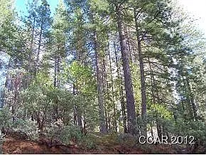 1213 Pebble Beach Way photo 1