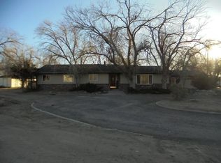 1295 Stephanie Way, Minden, NV 89423