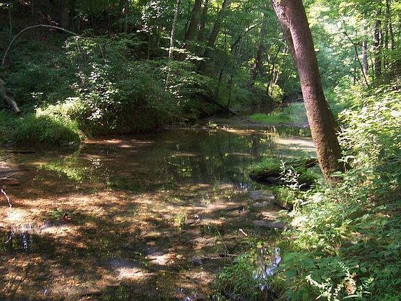 Roaring River Border