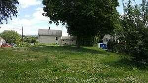 grass