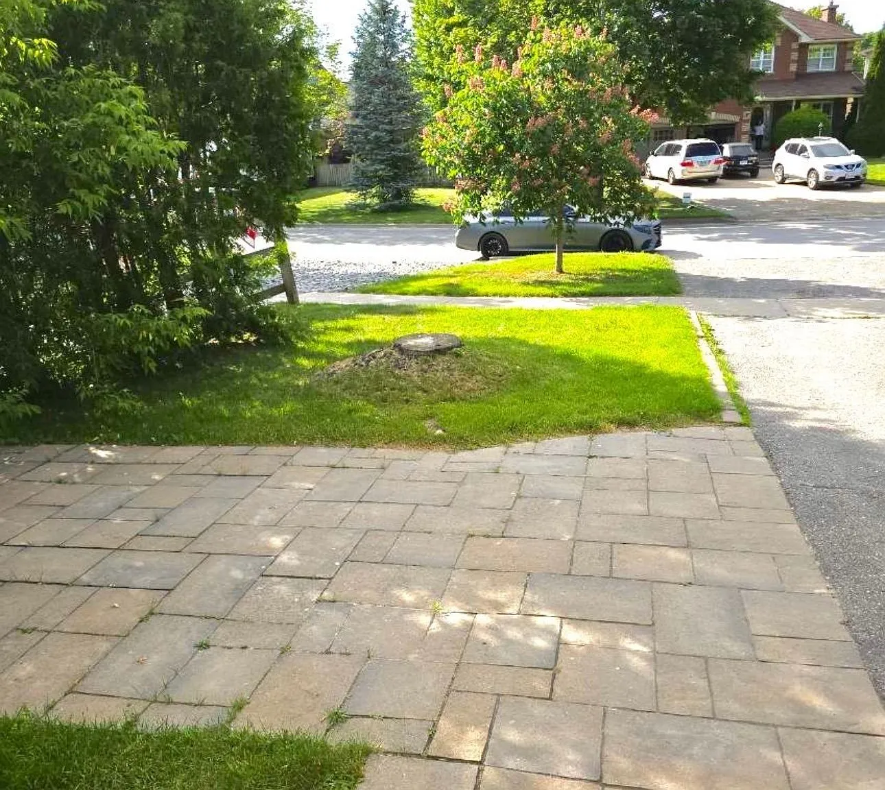 1 bed, $1,850 — Photo 3