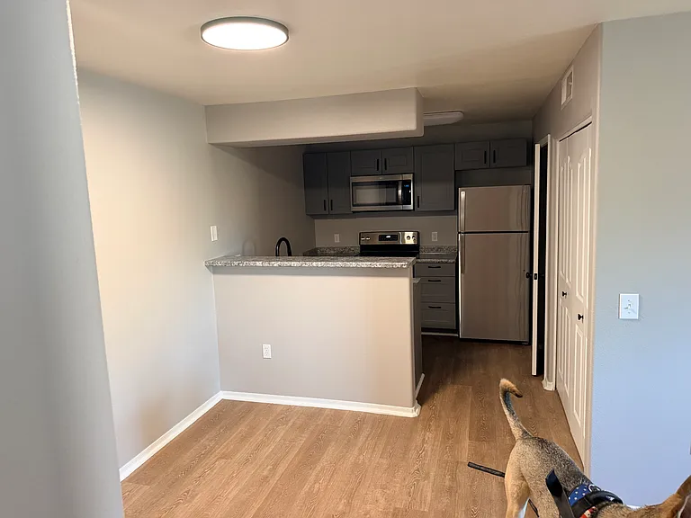 5751 N Kolb Rd #21201 — Photo 3