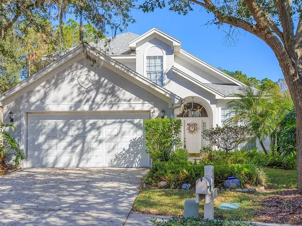 17719 Ridgeway Point Pl, Tampa, FL 33647