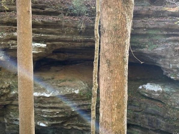 LOT White Feather Loop, Lewisburg, KY 42256
