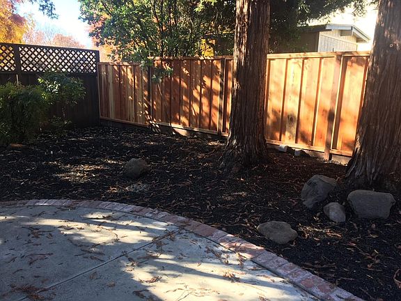 Backyard with 2 redwood trees