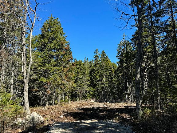 3rd image of 12 Jamestown Road