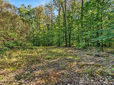 Property photo 26