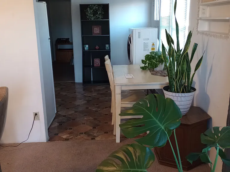 231 W 7th Ave #231 — Photo 2