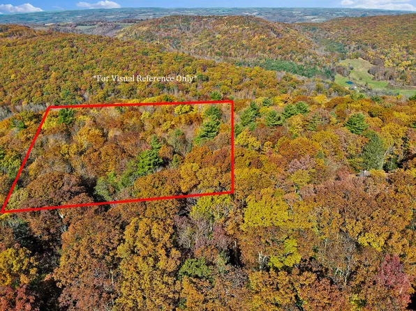 0 Baldwin Run Acres Ln, Wellsboro, PA 16901