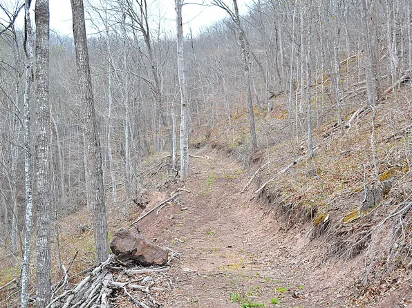 Snake Run Rd, Dawson, WV 24910