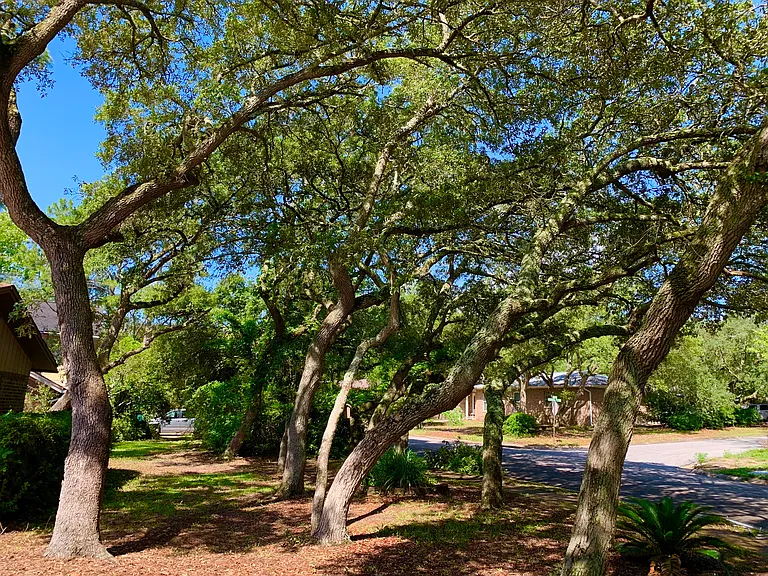 317 Somerset Dr — Photo 6