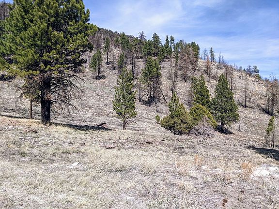 5th image of 195 N Sidehill Ln