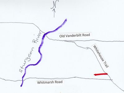 Whitehouse Trl, Vanderbilt, MI, 49795